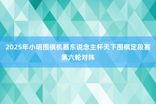 2025年小明围棋机器东说念主杯天下围棋定段赛第六轮对阵