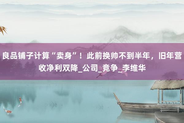 良品铺子计算“卖身”！此前换帅不到半年，旧年营收净利双降_公司_竞争_李维华