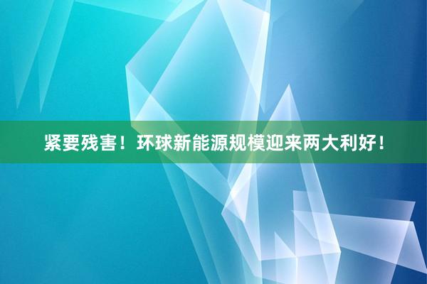 紧要残害！环球新能源规模迎来两大利好！