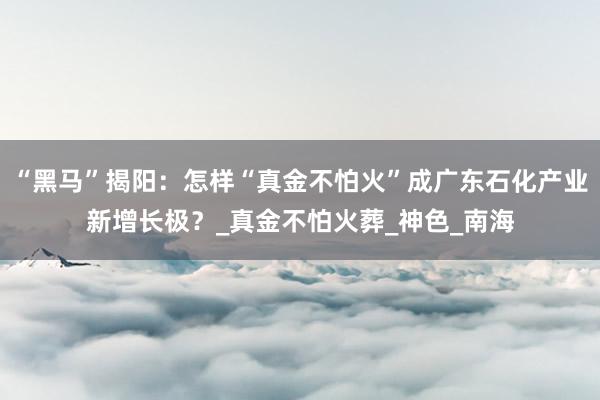 “黑马”揭阳：怎样“真金不怕火”成广东石化产业新增长极？_真金不怕火葬_神色_南海