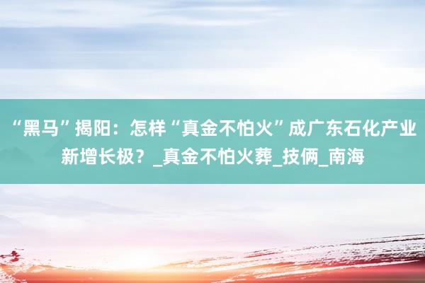 “黑马”揭阳：怎样“真金不怕火”成广东石化产业新增长极？_真金不怕火葬_技俩_南海