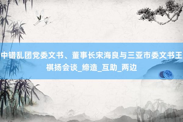 中错乱团党委文书、董事长宋海良与三亚市委文书王祺扬会谈_缔造_互助_两边