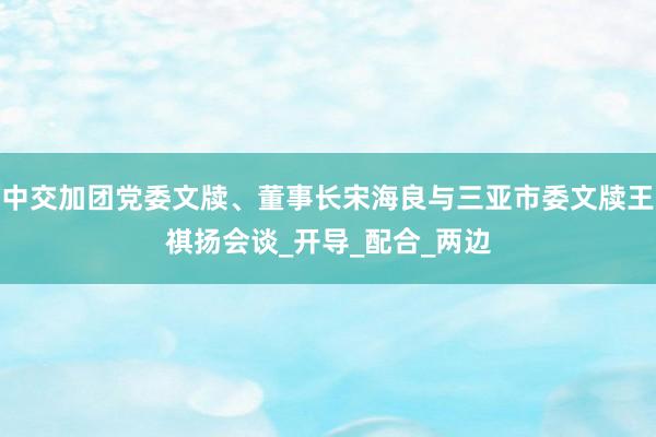 中交加团党委文牍、董事长宋海良与三亚市委文牍王祺扬会谈_开导_配合_两边