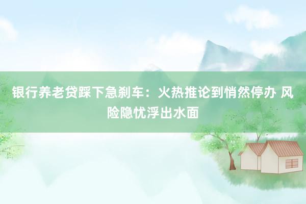 银行养老贷踩下急刹车：火热推论到悄然停办 风险隐忧浮出水面