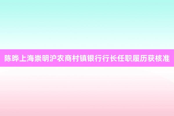 陈晔上海崇明沪农商村镇银行行长任职履历获核准