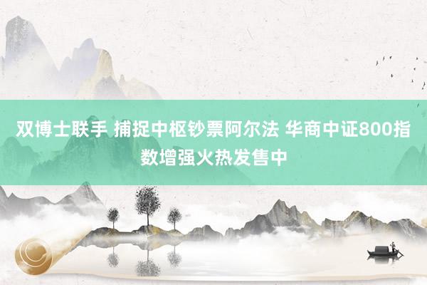 双博士联手 捕捉中枢钞票阿尔法 华商中证800指数增强火热发售中