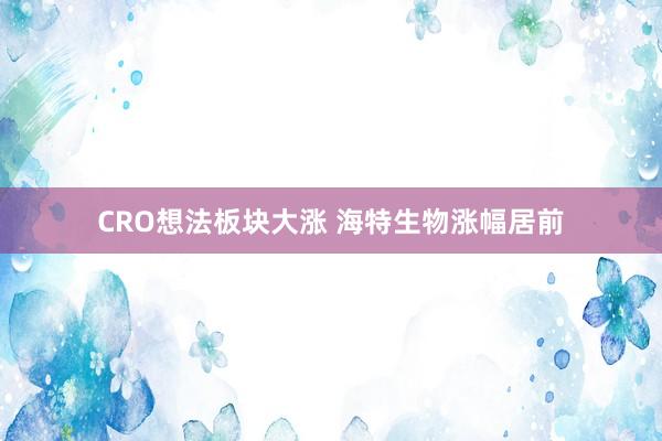 CRO想法板块大涨 海特生物涨幅居前