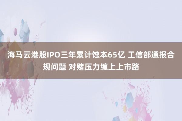 海马云港股IPO三年累计蚀本65亿 工信部通报合规问题 对赌压力缠上上市路