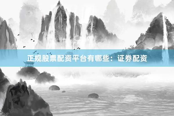 正规股票配资平台有哪些：证劵配资