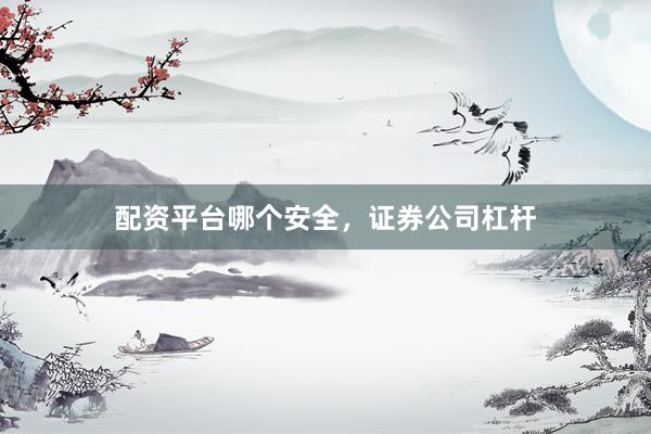 配资平台哪个安全，证券公司杠杆