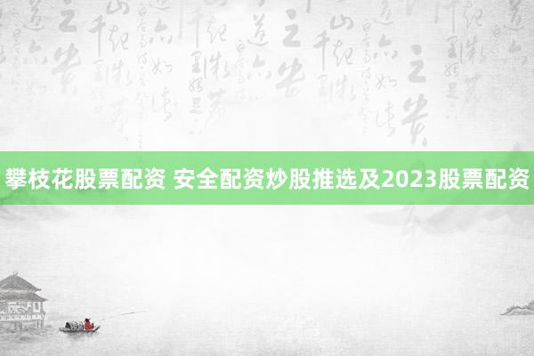 攀枝花股票配资 安全配资炒股推选及2023股票配资