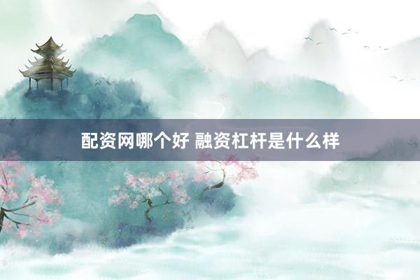 配资网哪个好 融资杠杆是什么样