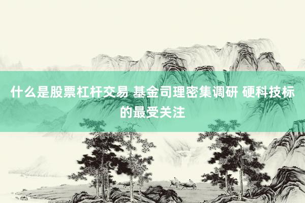 什么是股票杠杆交易 基金司理密集调研 硬科技标的最受关注