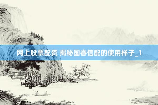 网上股票配资 揭秘国睿信配的使用样子_1