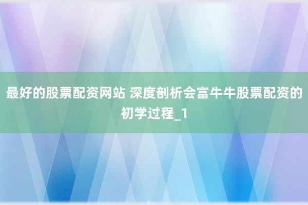 最好的股票配资网站 深度剖析会富牛牛股票配资的初学过程_1