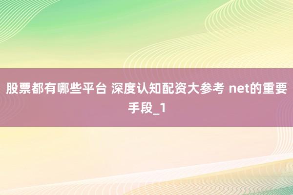 股票都有哪些平台 深度认知配资大参考 net的重要手段_1