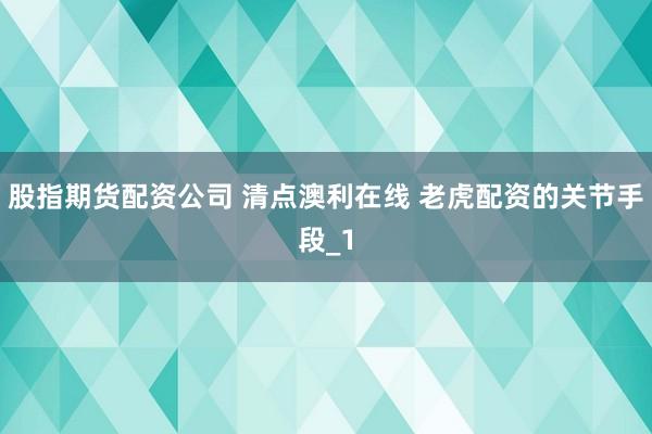 股指期货配资公司 清点澳利在线 老虎配资的关节手段_1