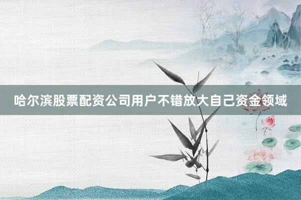 哈尔滨股票配资公司用户不错放大自己资金领域