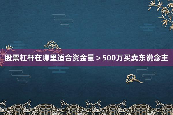 股票杠杆在哪里适合资金量＞500万买卖东说念主