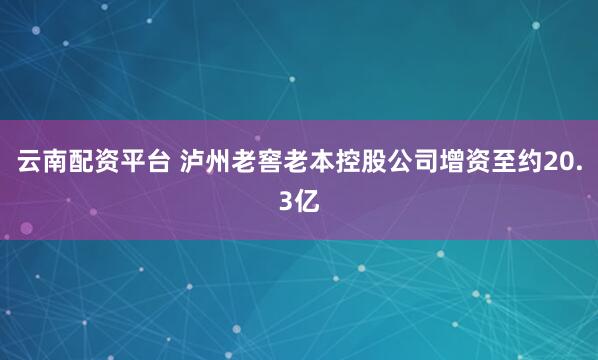 云南配资平台 泸州老窖老本控股公司增资至约20.3亿