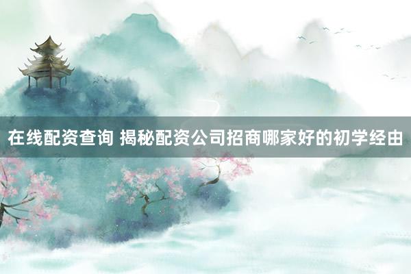 在线配资查询 揭秘配资公司招商哪家好的初学经由