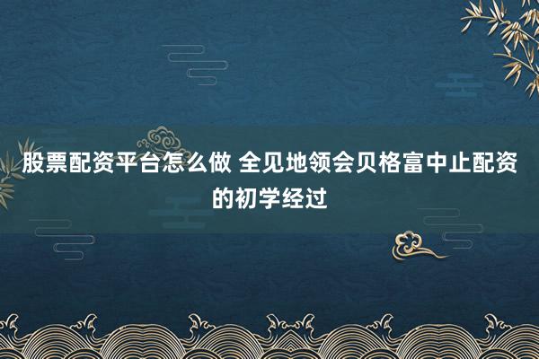 股票配资平台怎么做 全见地领会贝格富中止配资的初学经过