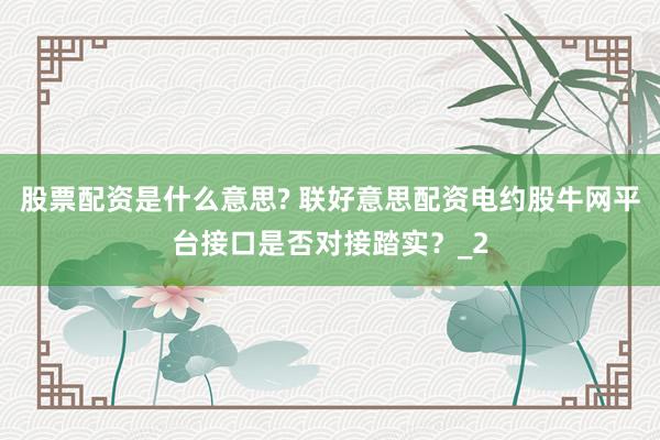 股票配资是什么意思? 联好意思配资电约股牛网平台接口是否对接踏实?_2