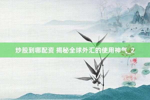 炒股到哪配资 揭秘全球外汇的使用神气_2