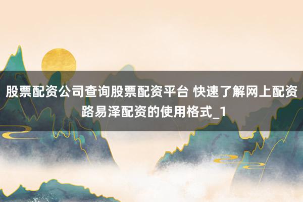 股票配资公司查询股票配资平台 快速了解网上配资 路易泽配资的使用格式_1